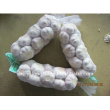 2011 fresh normal white garlic 1kg bag